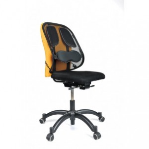 Suport ergonomic pentru spate, Professional Fellowes - ACOMI.ro